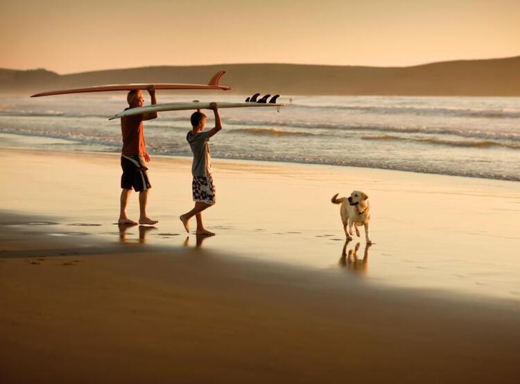 family and dog on beach